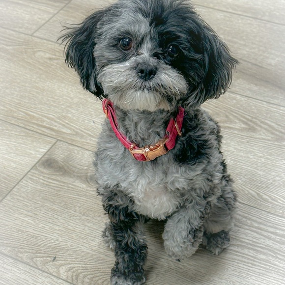 Tonight Marathon Sharing + OMG 😱 The Giveaways - Picture 14 of 15